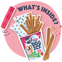 Smoofl Hondenijs aardbei 160 g