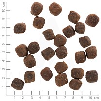 Wolfsblut Deep Glade Hondenbrokken Adult Edelhert met Zoete Aardappel