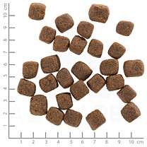 Wolfsblut Wild Game Hondenbrokken Adult Patrijs, Wilde Duif met Zoete Aardappel 12,5 kg