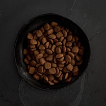 Canagan Dog food Adult Grass Fed lamb