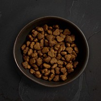 Canagan Hondenbrokken Puppy Scharrelkip