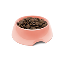 Symply Dry Dog Food Adult Salmon
