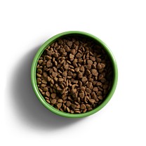 Yora Hondenbrokken Adult Small Breed Insect