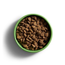 Yora Hondenbrokken Adult Large Breed Insect
