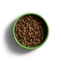 Yora Dry Dog Food Light/Senior Insect