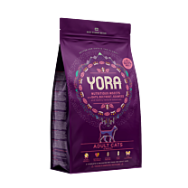 Yora Kattenbrokken Adult Insecten
