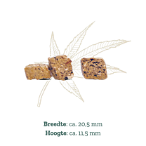 Goood Bio Hennepcrackers Superfood 80 g