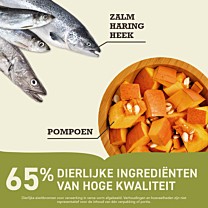 Acana Bountiful Catch Kattenbrokken Vis 4,5 kg