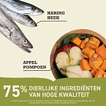 Acana Pacifica Kattenbrokken Haring & Makreel 4,5 kg