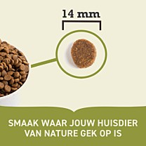 Acana Dry Dog Food Adult Chicken
