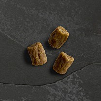 Canagan Hondensnack Wild Bites Rund & Varkren 60 g