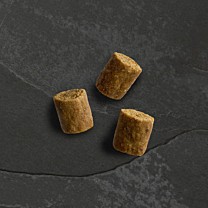 Canagan Hondensnack Wild Bites Kip & Varken 60 g