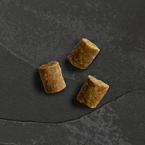 Canagan Dog Treat Wild Bites Chicken 60 g