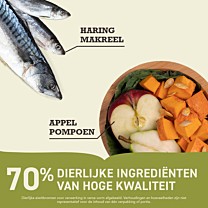 Acana Highest Proteïn Pacifica Dry Dog Food Herring