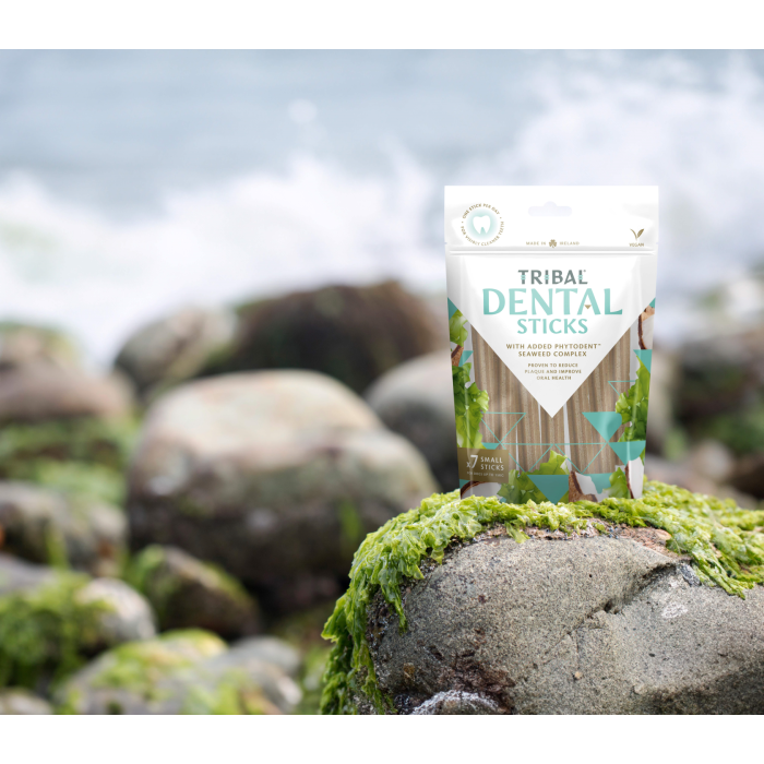 Veggie dental sticks hotsell