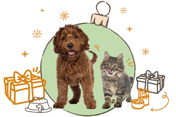 Welkom-banner Food4Pets