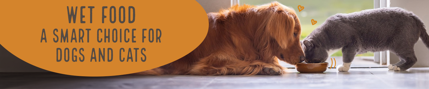 Wet food for dogs and cats