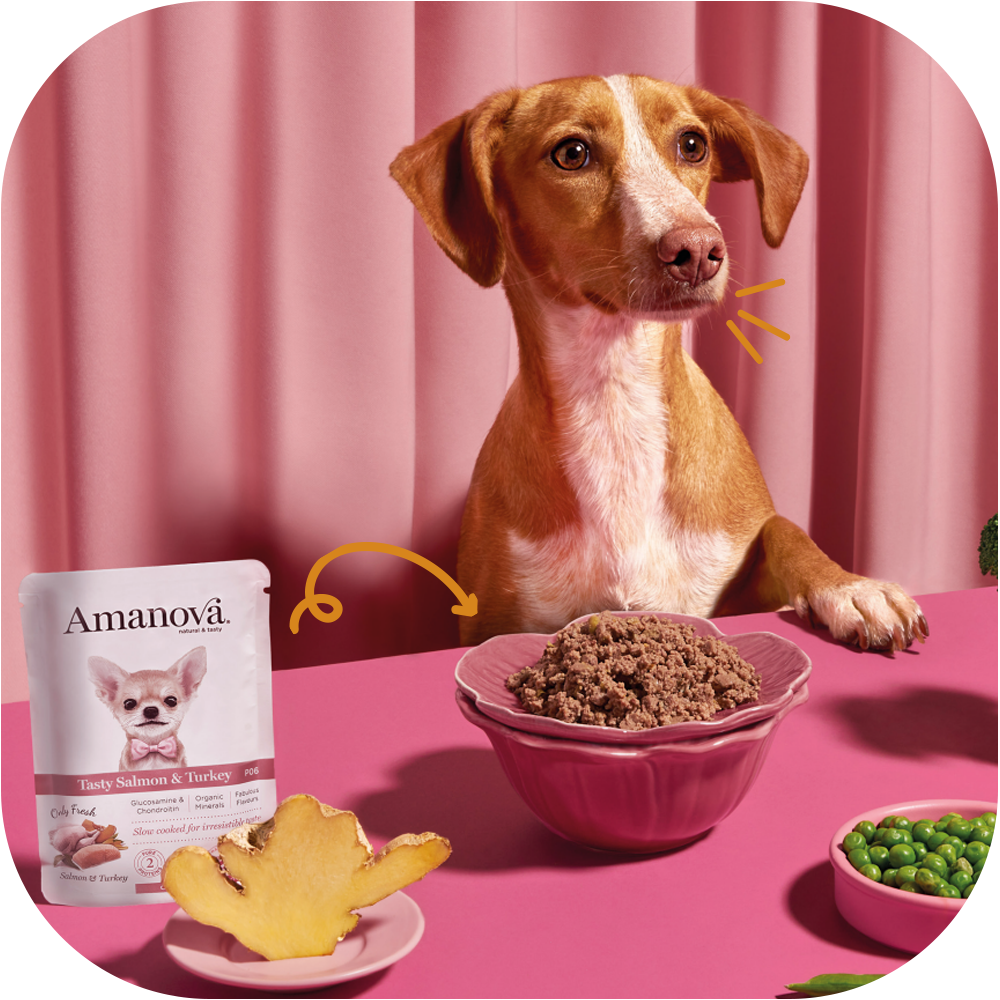Amanova voor honden