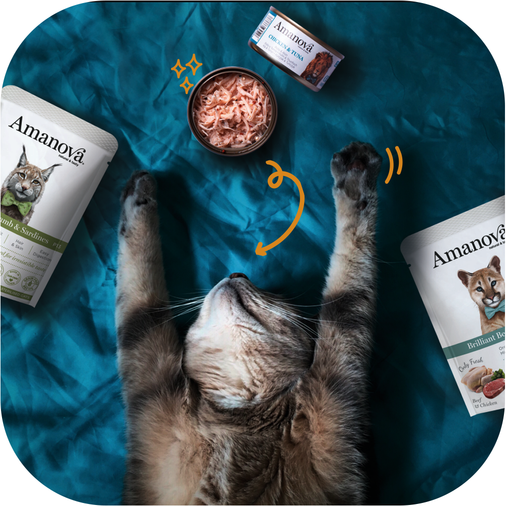 Amanova voor katten