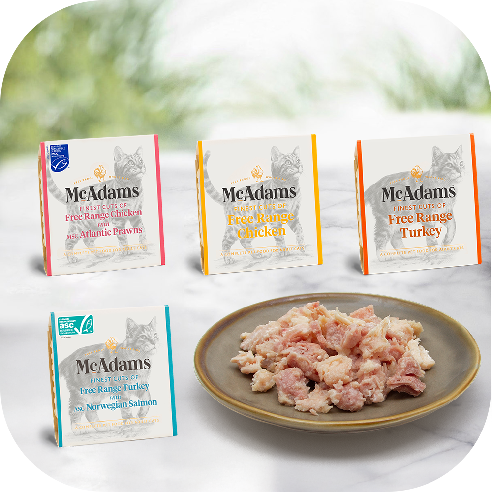 McAdams natvoor voor katten