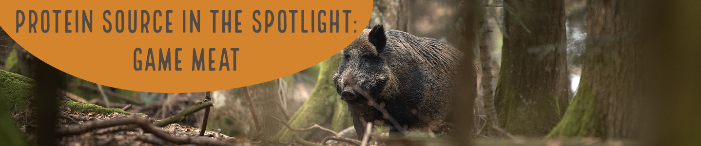 Protein source in the spotlight: Game meat