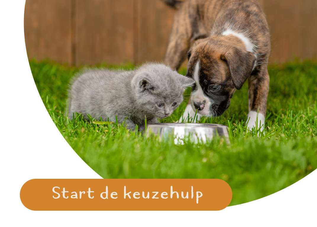 Platinum MeatCrisp kattenbrokken met vis