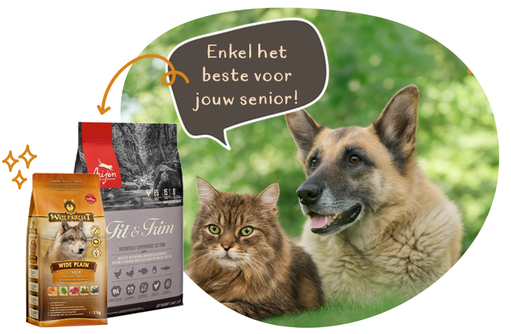 Het beste voer voor jouw senior
