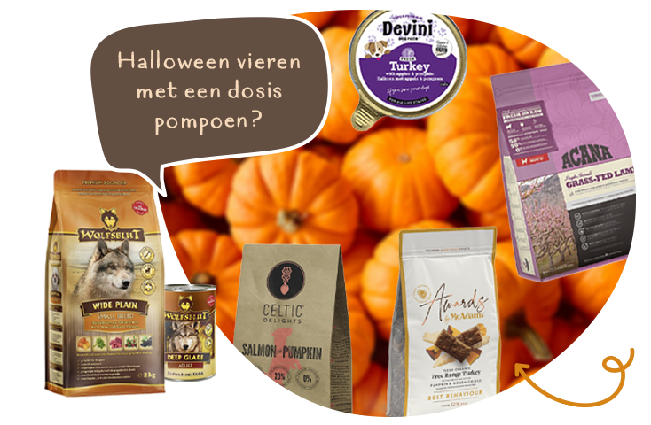 Ontdek ons assortiment met Pompoen