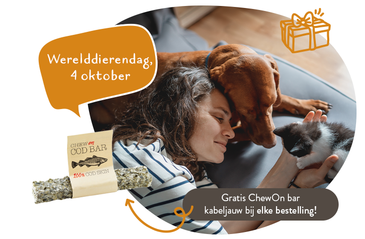 Ontdek ons assortiment met Pompoen