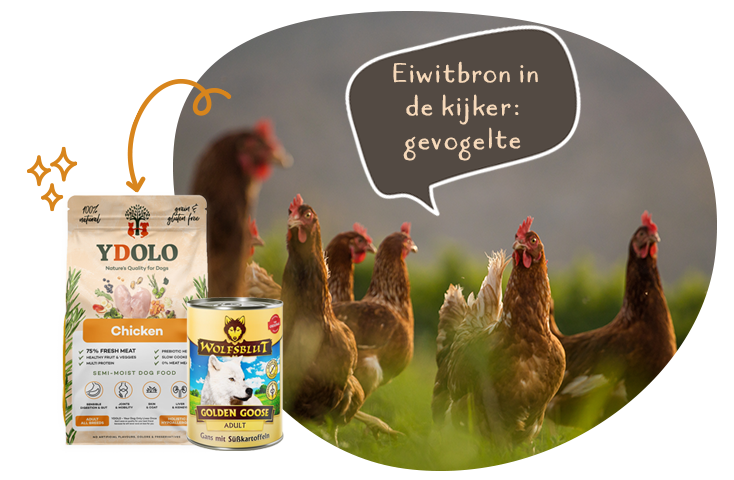 Eiwitbron gevolgte in de kijker.