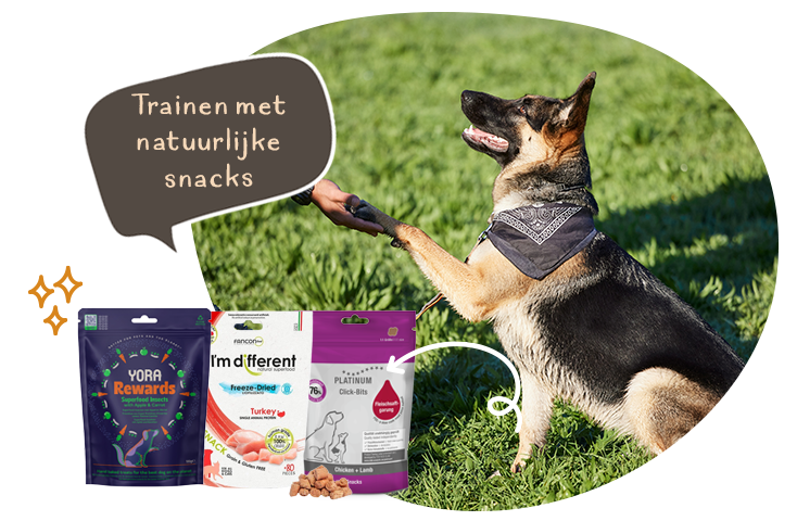 Trainen met natuurlijke snacks.